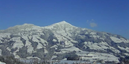 Pensionen - Umgebungsschwerpunkt: Berg - Arndorf (Mittersill, Hollersbach im Pinzgau) - Landhaus Maria