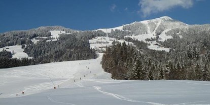 Pensionen - Skilift - Alpbach - Haus Bergrose