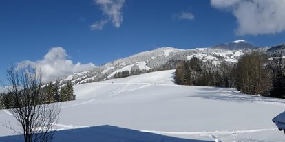 Pensionen - Skilift - Tiroler Unterland - Haus Bergrose