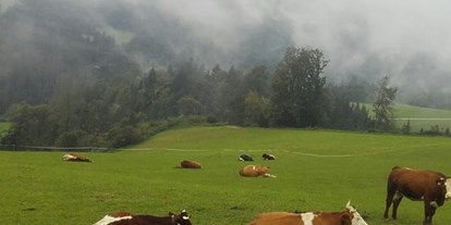 Pensionen - Umgebungsschwerpunkt: Berg - Tiroler Unterland - Trampl-Hof