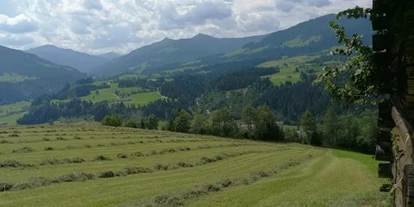 Pensionen - Wanderweg - Reith im Alpbachtal - Trampl-Hof