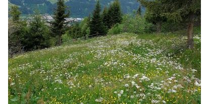 Pensionen - Umgebungsschwerpunkt: am Land - Aurach bei Kitzbühel - Trampl-Hof