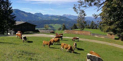 Pensionen - Garten - Tirol - Trampl-Hof
