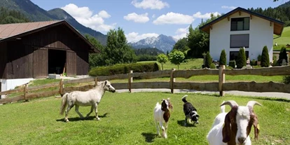Pensionen - Parkplatz: kostenlos bei der Pension - Kirchberg in Tirol - Biobauernhof Vordermühltalhof