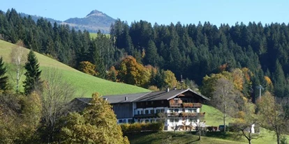 Pensionen - Weyer (Bramberg am Wildkogel) - Lehenhof