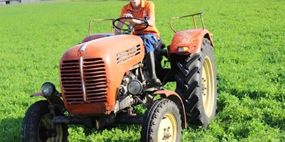Pensionen - Art der Pension: Urlaub am Bauernhof - Neuseß - Biobauernhof Tonimörtl