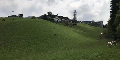 Pensionen - Garten - Aurach bei Kitzbühel - Bergsigt Appartements