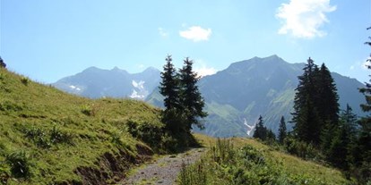 Pensionen - Terrasse - Wald am Arlberg - Appartment Schröcken
