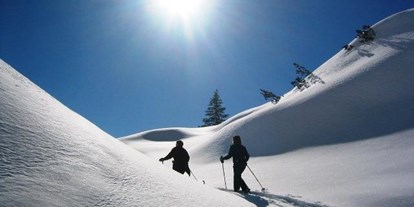 Pensionen - Skilift - Wald am Arlberg - Haus Kristall