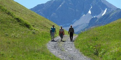 Pensionen - Umgebungsschwerpunkt: Berg - Dalaas - Haus Alpenblick
