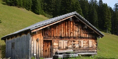 Pensionen - Garten - Dünserberg - Haus Alpenblick