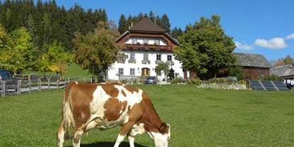Pensionen - Art der Pension: Urlaub am Bauernhof - Schöderberg - Polzhof