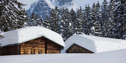 Pensionen - Umgebungsschwerpunkt: am Land - Pettneu am Arlberg - Alpina Appartements
