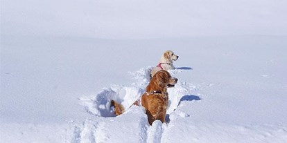 Pensionen - Hunde: erlaubt - Steeg (Steeg) - Alpina Appartements