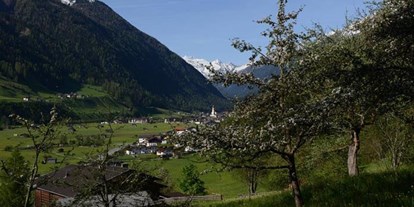 Pensionen - Wiesen (Trentino-Südtirol) - Pension Tina