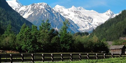 Pensionen - Art der Pension: Urlaubspension - Vals (Vals) - Alpenhaus Monte