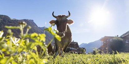 Pensionen - Art der Pension: Urlaub am Bauernhof - Tirol - Pension Hieserhof