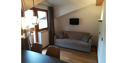 Pensionen - Skilift - Großarl - Auszieh Couch Appartement D  - Gästehaus Toferer