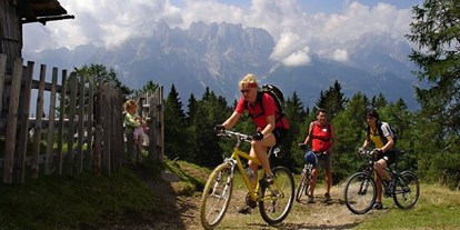 Pensionen - weitere Verpflegungsmöglichkeiten: Abendessen - Tirol - Mountainbikerunde Lienzer Hütte  - Gästehaus Steinerhof