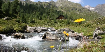 Pensionen - Terrasse - Tirol - Lienzer Hütte schöne Wanderung - Gästehaus Steinerhof