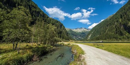 Pensionen - Umgebungsschwerpunkt: Fluss - Maierhofen (Dorfgastein) - Gasthof Alpenrose