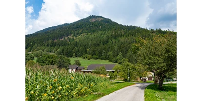 Pensionen - Umgebungsschwerpunkt: am Land - Steinwand (Krems in Kärnten, Rennweg am Katschberg) - Der Blick auf den Hof - Haus Brunner - Ferienwohnung im Hühnerhotel
