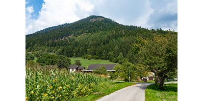 Pensionen - Umgebungsschwerpunkt: Fluss - Latschach (St. Stefan im Gailtal, Hermagor-Pressegger See) - Der Blick auf den Hof - Haus Brunner - Ferienwohnung im Hühnerhotel