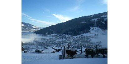 Pensionen - Umgebungsschwerpunkt: See - Mayrhofen (Saalfelden am Steinernen Meer) - Unsere Kühe  - Oberaigenhof Ferienwohnungen Kaprun 