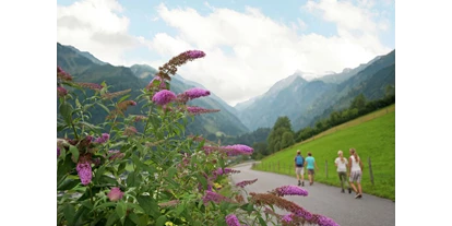 Pensionen - Garten - Arndorf (Mittersill, Hollersbach im Pinzgau) - Ferienwohnung Blick auf das Kitzsteinhorn  - Oberaigenhof Ferienwohnungen Kaprun 