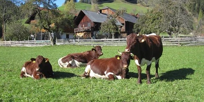 Pensionen - Art der Pension: Urlaub am Bauernhof - Steiermark - Wachlbacherhof