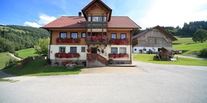 Pensionen - Umgebungsschwerpunkt: Berg - Ramsau (Bad Goisern am Hallstättersee) - Stanglhof