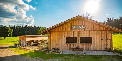 Pensionen - Balkon - Steiermark - Zottl-Kino - Fürsterhof Ramsau