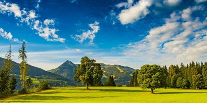 Pensionen - Umgebungsschwerpunkt: Berg - Steiermark - Fürsterhof Ramsau
