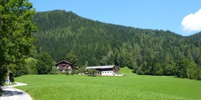 Pensionen - Art der Pension: Urlaub am Bauernhof - Steiermark - Meisslingerhof