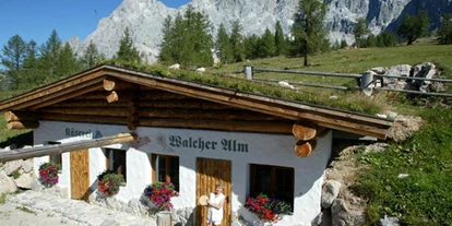 Pensionen - Langlaufloipe - Flachau - Walcherhof