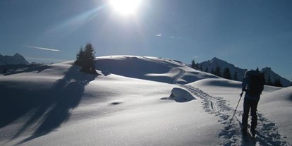 Pensionen - Skilift - Steiermark - Pension Steiermark