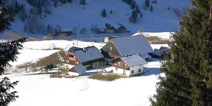 Pensionen - Umgebungsschwerpunkt: am Land - Schladming-Dachstein - Bauernhof Zick