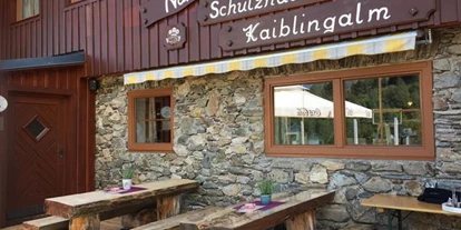 Pensionen - weitere Verpflegungsmöglichkeiten: Abendessen - Obertal (Schladming) - Kaibling Alm