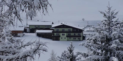 Pensionen - Garage für Zweiräder - Gröbming - Winter bei uns in der Steiermark  - Entingerhof