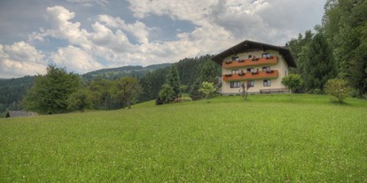 Pensionen - Umgebungsschwerpunkt: Berg - Hallstatt - Rosspointnerhof