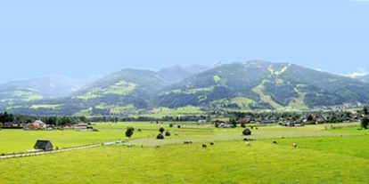 Pensionen - Art der Pension: Urlaub am Bauernhof - Steiermark - Pitzerhof