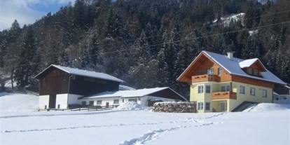 Pensionen - Schladming-Dachstein - Pitzerhof