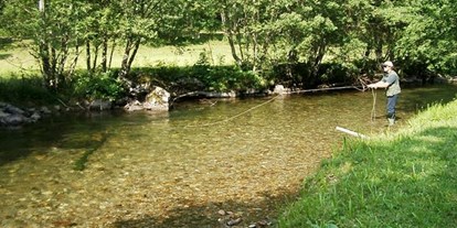 Pensionen - Umgebungsschwerpunkt: Fluss - Höch (Flachau) - Gasthof Tetter