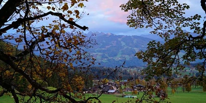 Pensionen - Umgebungsschwerpunkt: Berg - Steiermark - Dachsteinhof