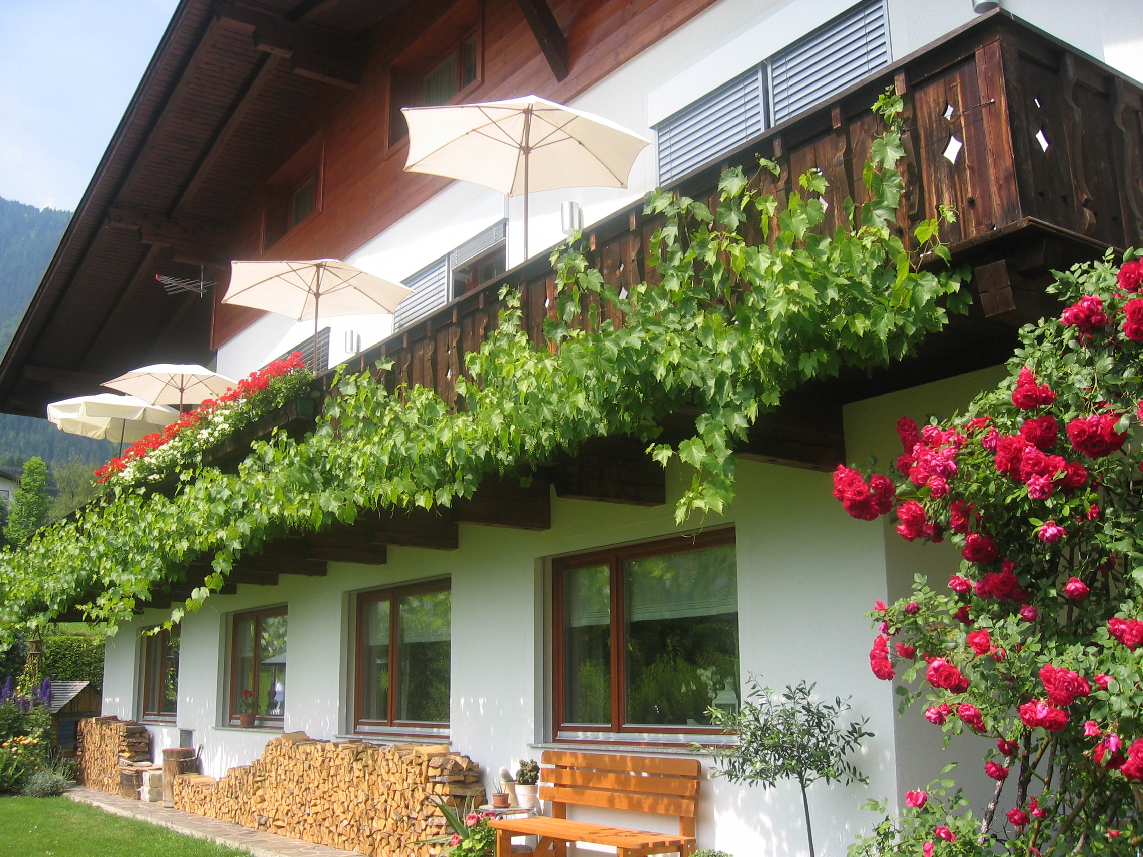 Frühstückspension - Hausansicht  - Haus Alpenglühn