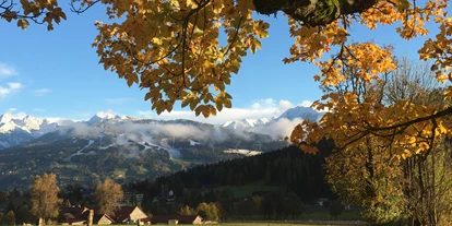 Pensionen - Spielplatz - Obertal (Schladming) - goldener Herbst  - Bio-Bauernhof Simonbauer