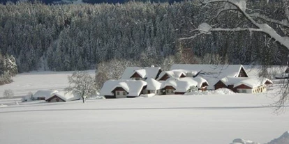 Pensionen - Garage für Zweiräder - Gröbming - hintere Nord-Winter Ansicht - Bio-Bauernhof Simonbauer