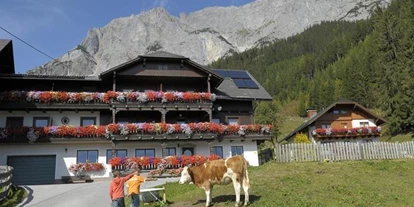 Pensionen - Art der Pension: Urlaub am Bauernhof - Steiermark - Feichtlehnerhof