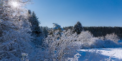 Pensionen - Umgebungsschwerpunkt: am Land - Rheinland-Pfalz - Auch im Winter ein Erlebnis - der Hochwald - Landhaus HEIMISCH