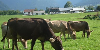 Pensionen - Art der Pension: Urlaub am Bauernhof - Ramsau am Dachstein - Frienerhof